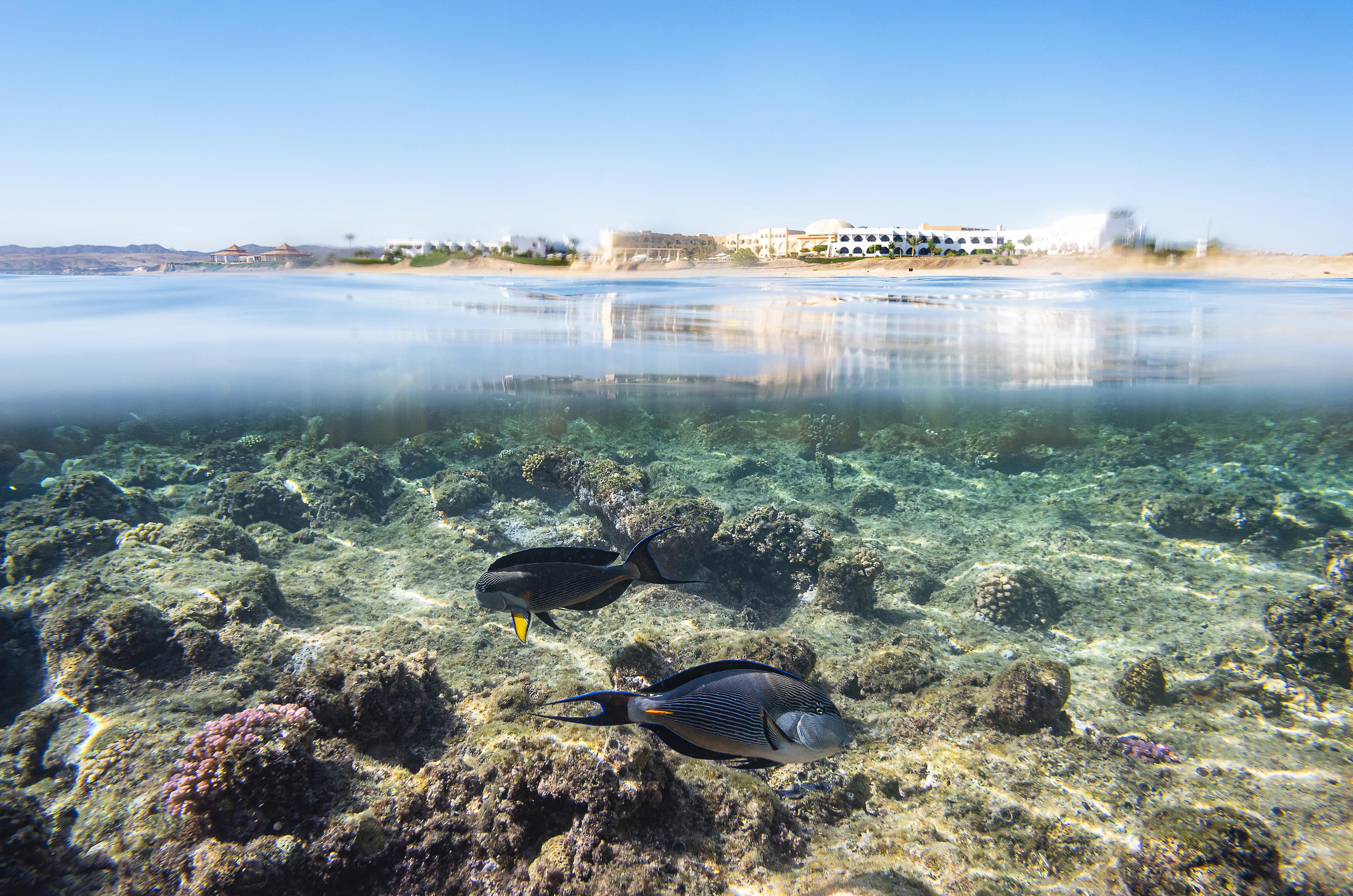 Three Corners Equinox Beach Resort Marsa Alam Exterior foto